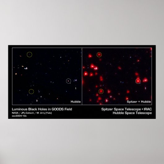 Lumineuze zwarte holten in het GOEDERENveld Poster (Voorkant)