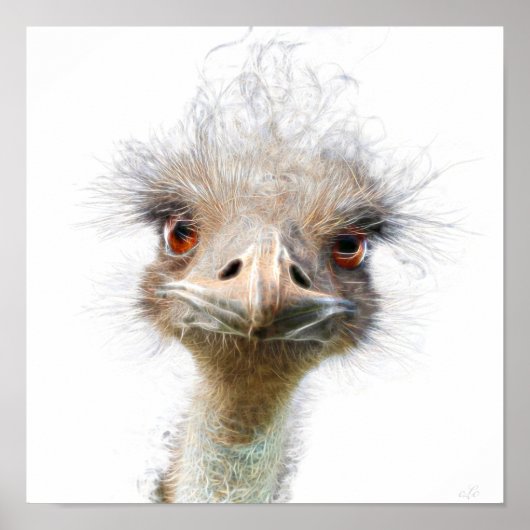 Luminous Emu art Poster (Voorkant)