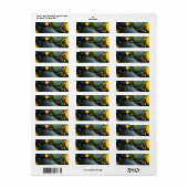 Luminous Fluid Dynamics: Yellow and Green Abstract Etiket (Full Sheet)