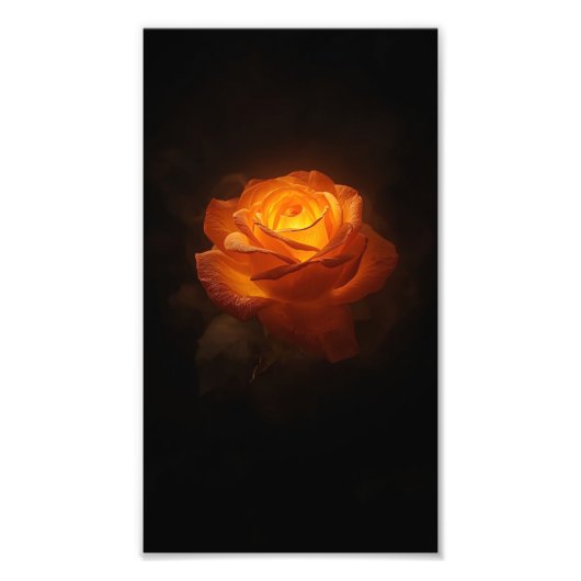Luminous Orange Rose on Black Velvet – Elegant Flo Foto Afdruk (Voorkant)