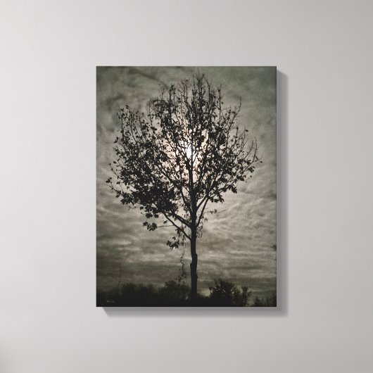 Luminous Silence: A Full Moon Night Canvas Afdruk (Voorkant)