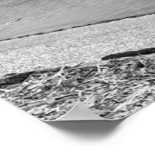 Lummi Island, WA - Uitzicht van Lago Bay Foto Poster (Hoek)