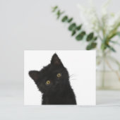 Luna Bella Black Kitten Briefkaart (Staand voorkant)