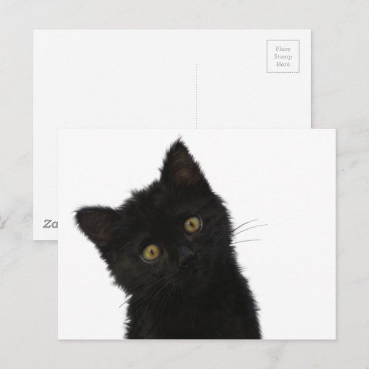 Luna Bella Black Kitten Briefkaart (Voorkant / Achterkant)