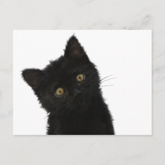 Luna Bella Black Kitten Briefkaart (Voorkant)
