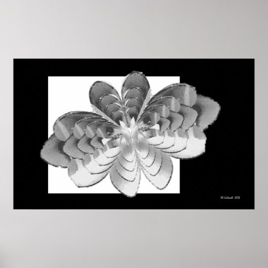 Luna Butterfly Poster (Voorkant)