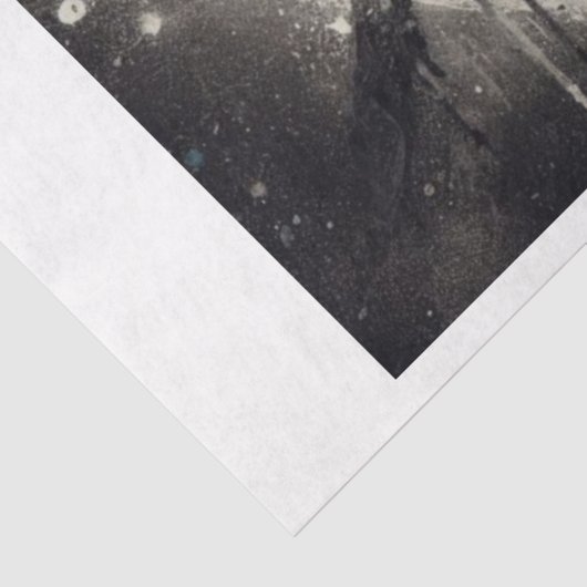 Luna Death Moth Tissuepapier (Detail)