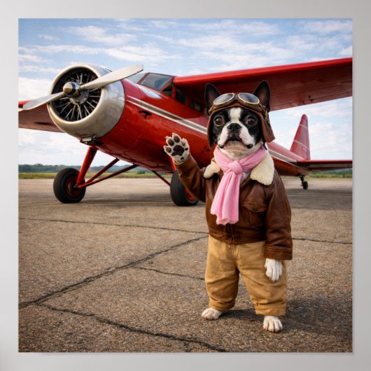 "Luna Earhart" Poster (Voorkant)