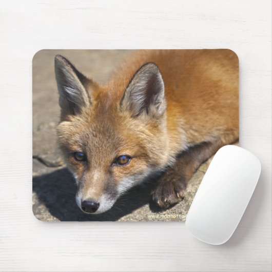 Luna Fox Muismat (Met muis)
