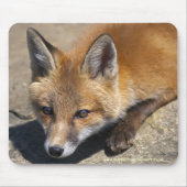 Luna Fox Muismat (Voorkant)