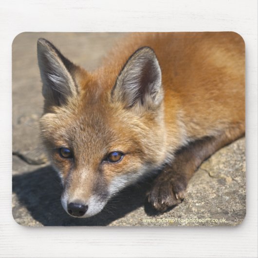 Luna Fox Muismat (Voorkant)