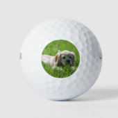 Luna Golfballen (Voorkant)