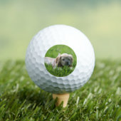 Luna Golfballen (Insitu Shirt)
