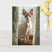 Luna Kaart (Gele Bloem)