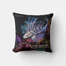 Luna lion fish, Pterois lunulata, Kussen