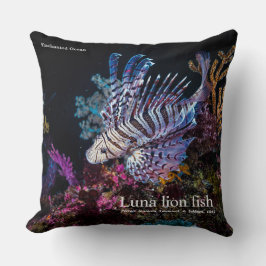 Luna lion fish, Pterois lunulata, Kussen