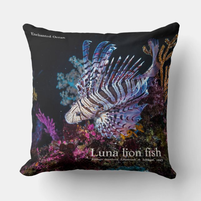 Luna lion fish, Pterois lunulata, Kussen (Voorkant)