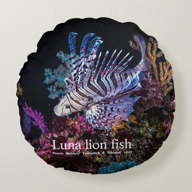 Luna lion fish, Pterois lunulata, Rond Kussen (Voorkant)