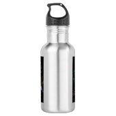 Luna lion fish, Pterois lunulata, Waterfles (Achterkant)