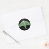 Luna Maanvlinder Sticker (Envelop)