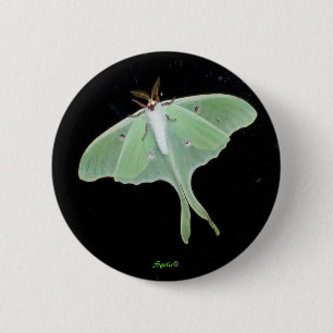 Luna-mot Insect Knop Ronde Button 5,7 Cm
