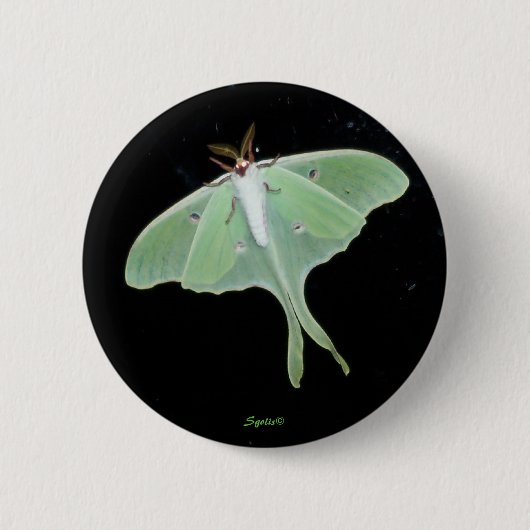 Luna-mot Insect Knop Ronde Button 5,7 Cm (Voorkant)