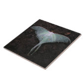 luna mot natuur vlinder fee fantasie droom tegeltje (Zijkant)