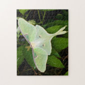 Luna-mot op Carnaby Clematis Legpuzzel (Verticaal)