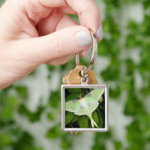 Luna-mot op Carnaby Clematis Sleutelhanger (Hand)