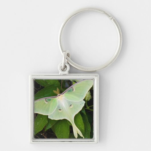 Luna-mot op Carnaby Clematis Sleutelhanger (Voorkant)