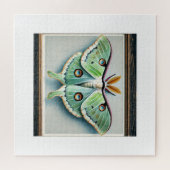Luna moth 050824IREF205 - Watercolor Legpuzzel (Horizontaal)