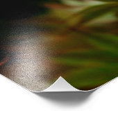 Luna Moth 19x16 grote afdrukken Foto Afdruk (Hoek)