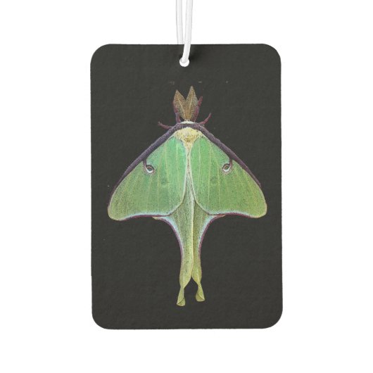 Luna Moth Air Freshener Luchtverfrisser (Achterkant)