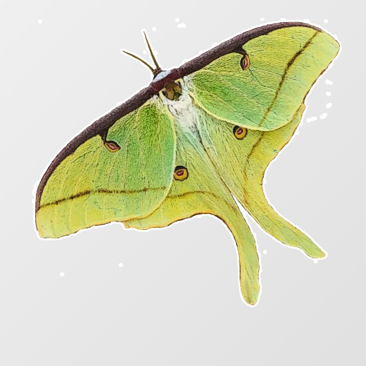 Luna Moth Artwork in levendige kleuren Raamsticker (Vel)
