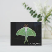 Luna Moth Briefkaart (Staand voorkant)