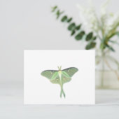 Luna Moth Briefkaart (Staand voorkant)