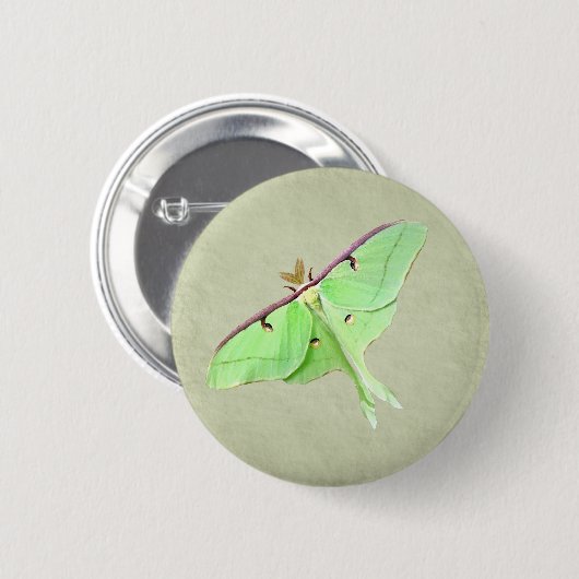 Luna Moth Button (Voorkant /achterkant)