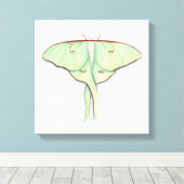 Luna Moth Canvas Afdruk (Insitu (Houten vloer))