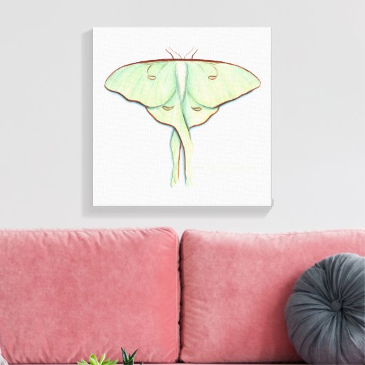 Luna Moth Canvas Afdruk (Insitu (Woonkamer))