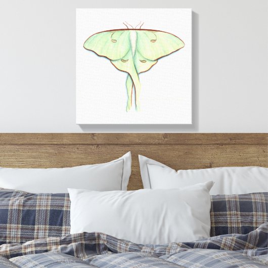 Luna Moth Canvas Afdruk (Insitu (Slaapkamer))