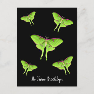 Luna Moth cartoon illustratie Briefkaart