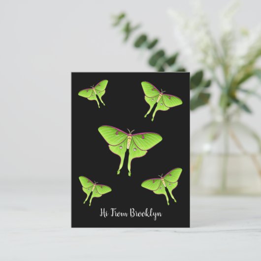 Luna Moth cartoon illustratie Briefkaart (Staand voorkant)