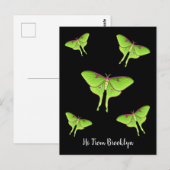 Luna Moth cartoon illustratie Briefkaart (Voorkant / Achterkant)