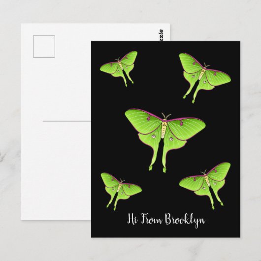 Luna Moth cartoon illustratie Briefkaart (Voorkant / Achterkant)