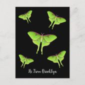 Luna Moth cartoon illustratie Briefkaart (Voorkant)