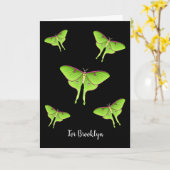 Luna Moth cartoon illustratie Kaart (Gele Bloem)