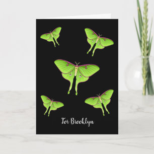 Luna Moth cartoon illustratie Kaart