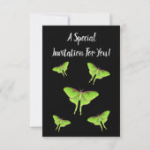 Luna Moth cartoon illustratie Kaart (Achterkant)