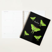 Luna Moth cartoon illustratie Planner (Display)