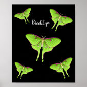 Luna Moth cartoon illustratie Poster (Voorkant)